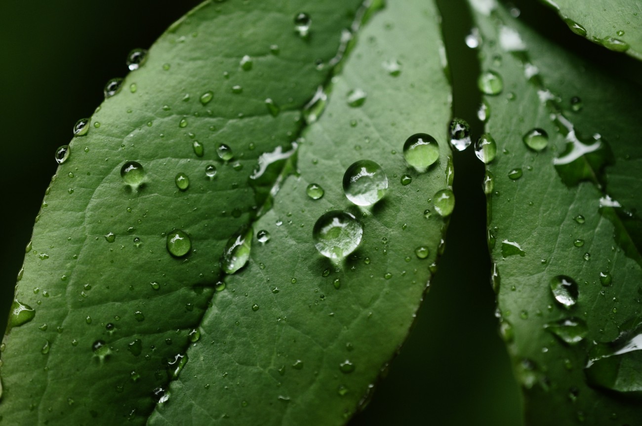 照片 043.jpg