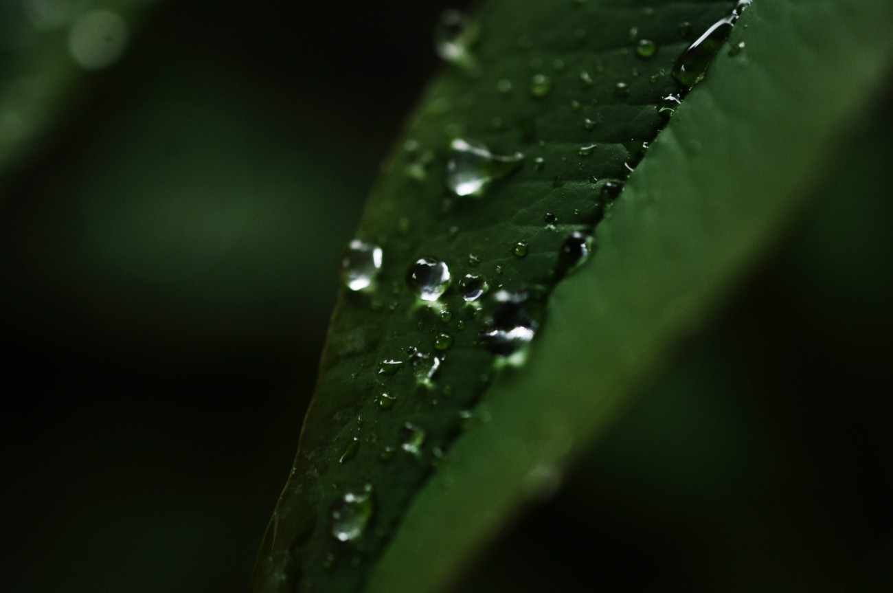 照片 053.jpg