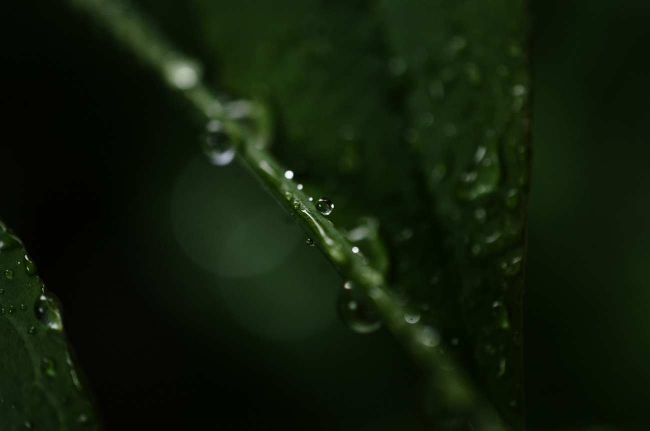 照片 055.jpg