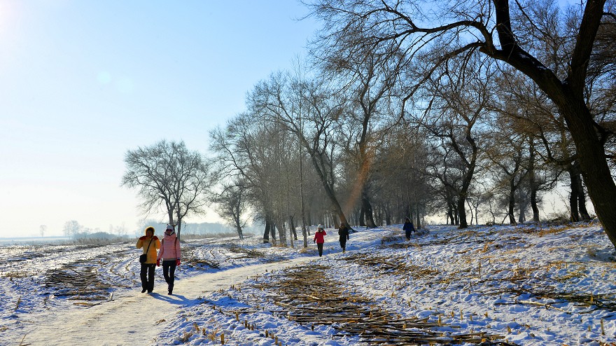 1226-003.jpg