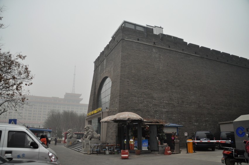 DSC_0024_conew1.jpg