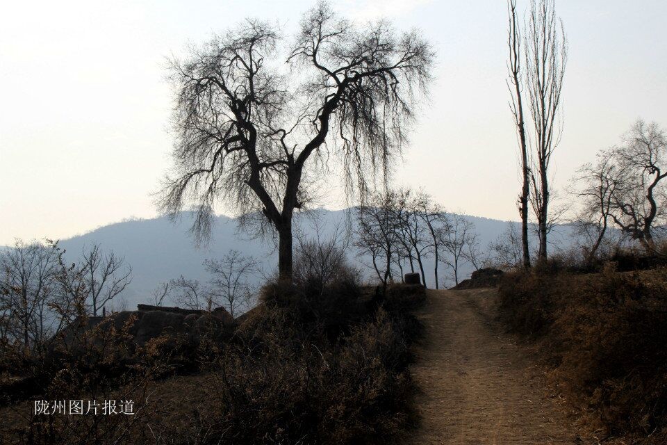 QQ图片20150127151208.jpg