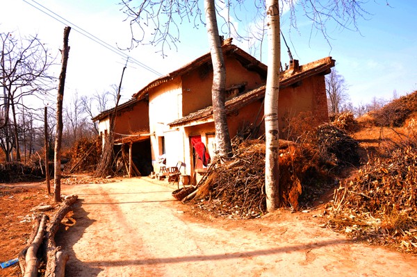 05.jpg