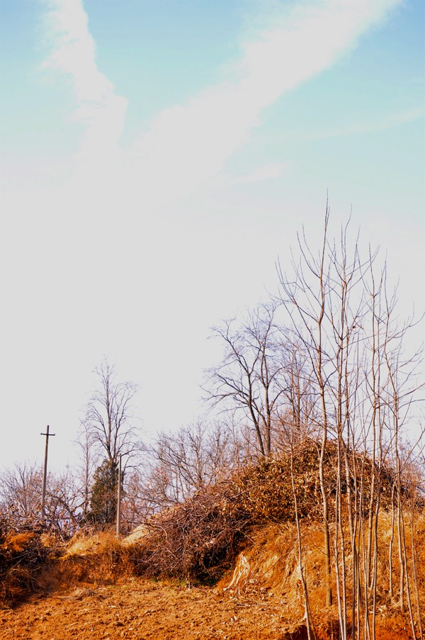 06.jpg