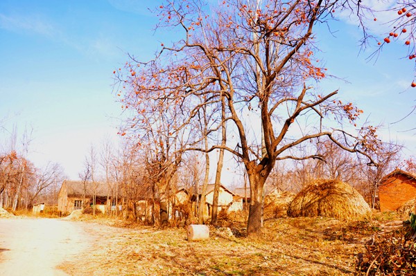 09.jpg