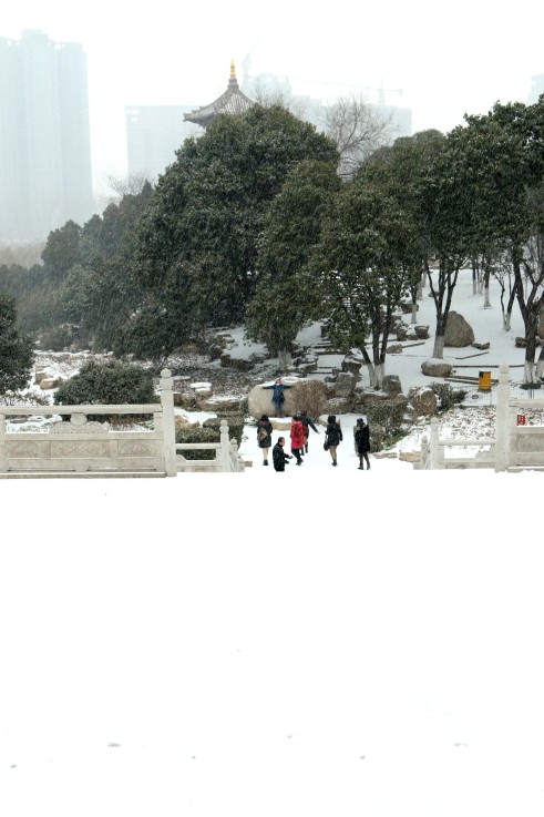 DPP_0009.JPG