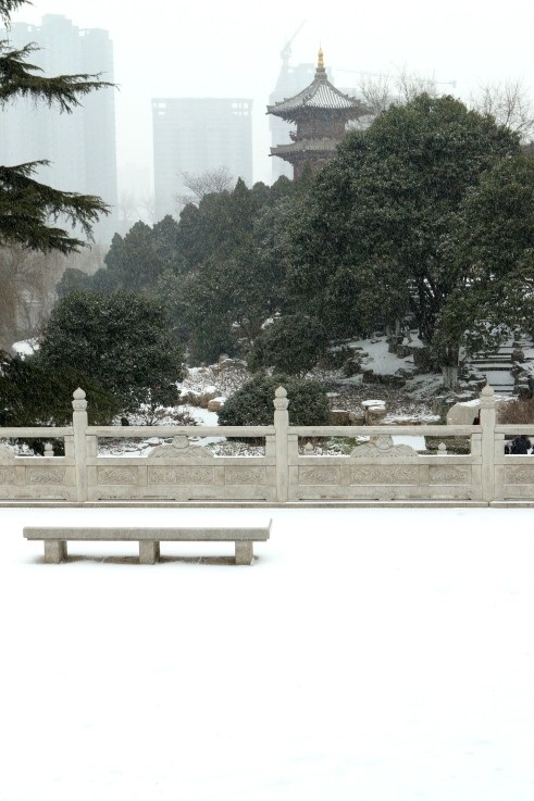 DPP_0010.JPG