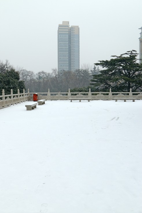 DPP_0014.JPG