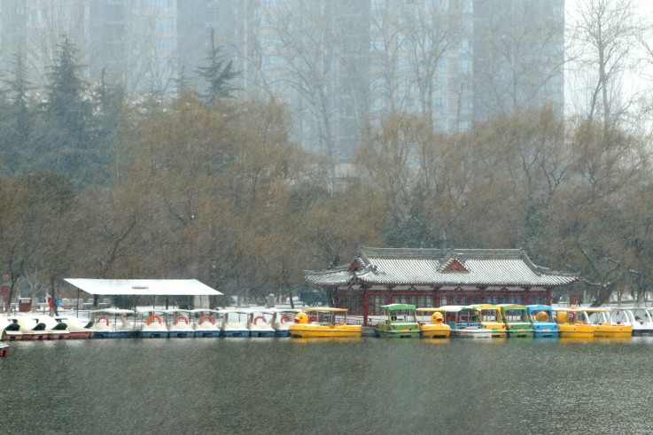 DPP_0024.JPG