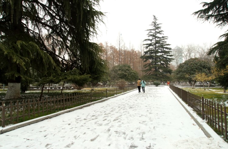 DPP_0001.JPG