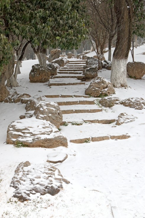 DPP_0004.JPG