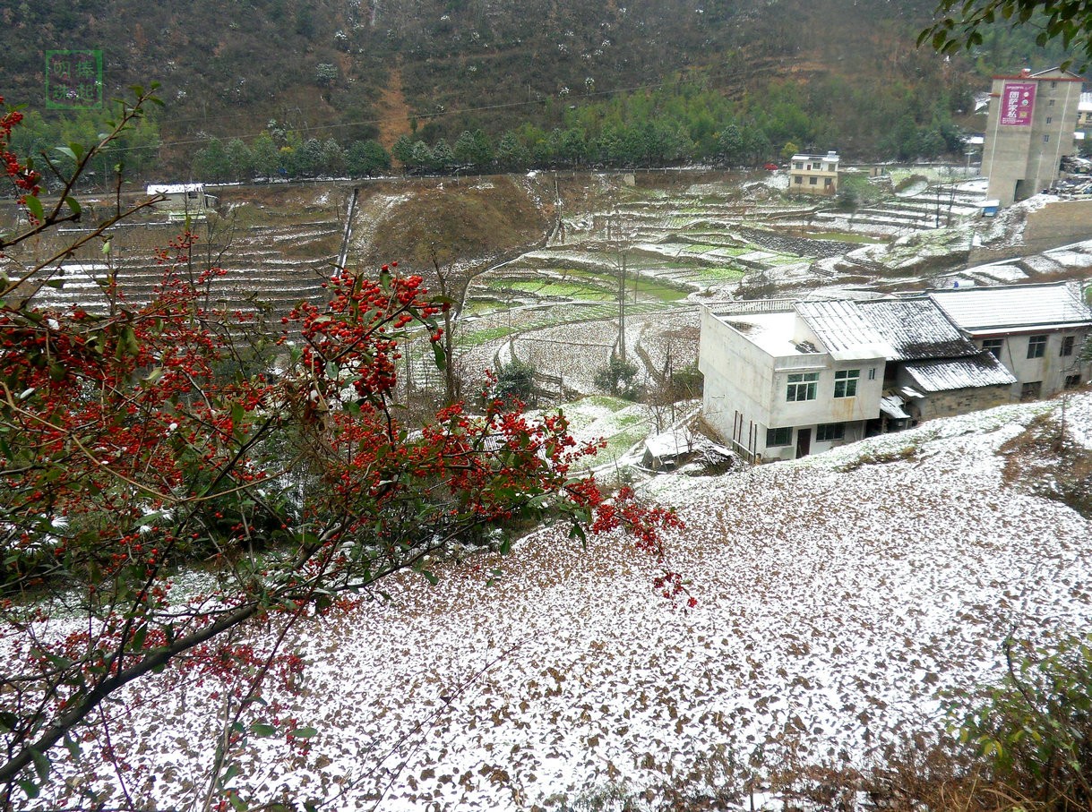 SDC11101_副本.JPG