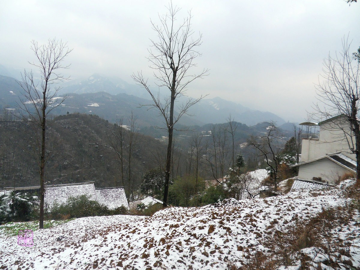 SDC11111_副本_副本.JPG