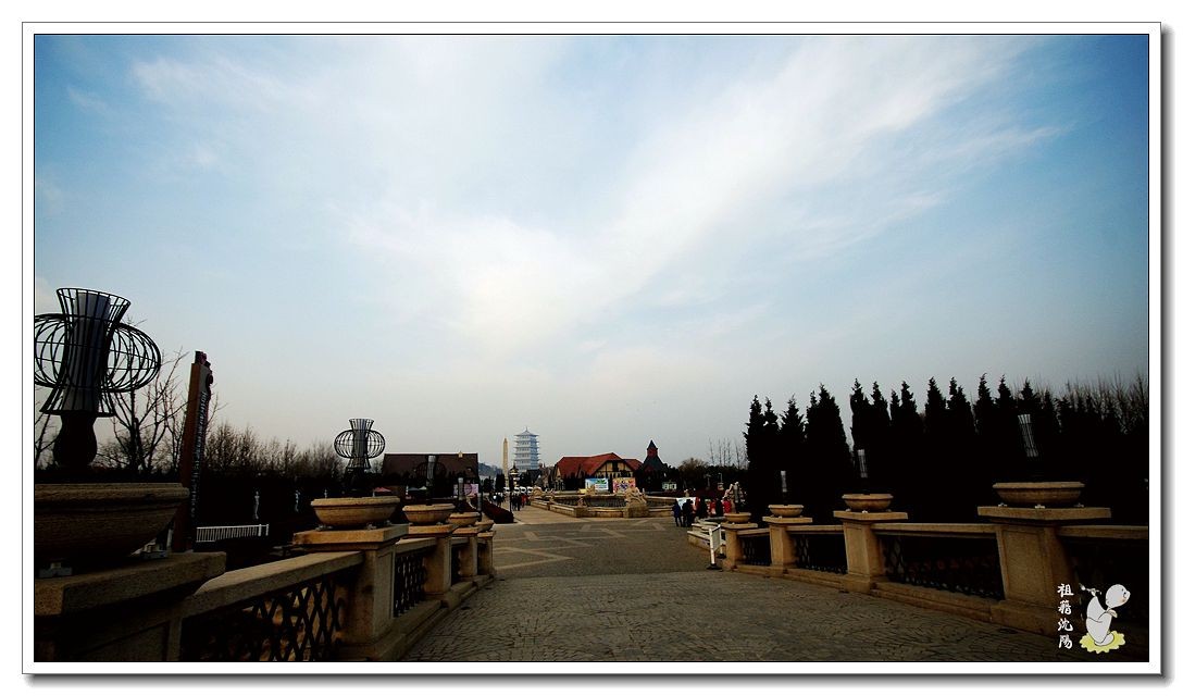 IMGP9856.jpg