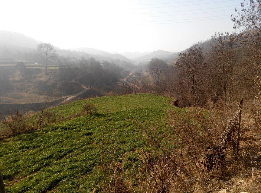 QQ图片20150203085307.jpg