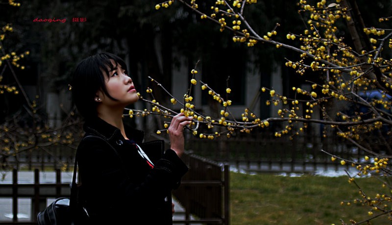 DSC-【梅.媚】.JPG