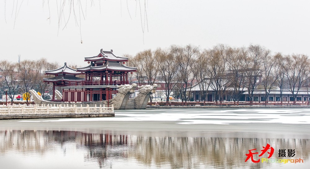 2015年西安第一场雪 (43).jpg