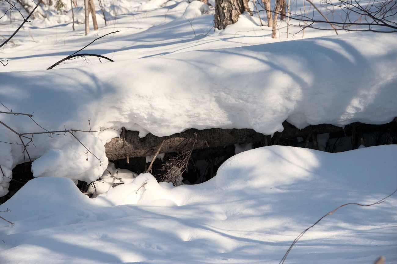 DSC_1410.jpg