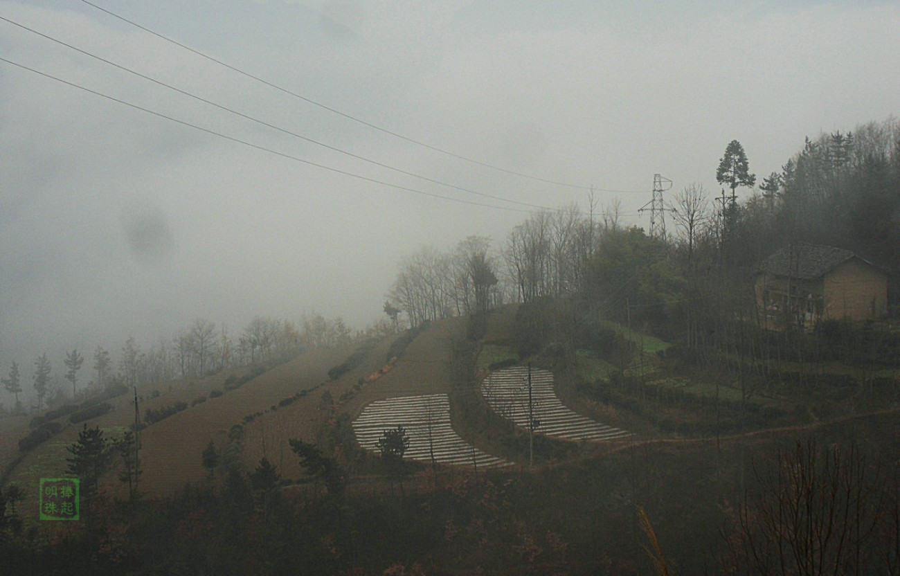 SDC11356_副本.JPG