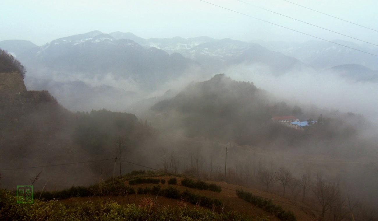 SDC11367_副本.JPG