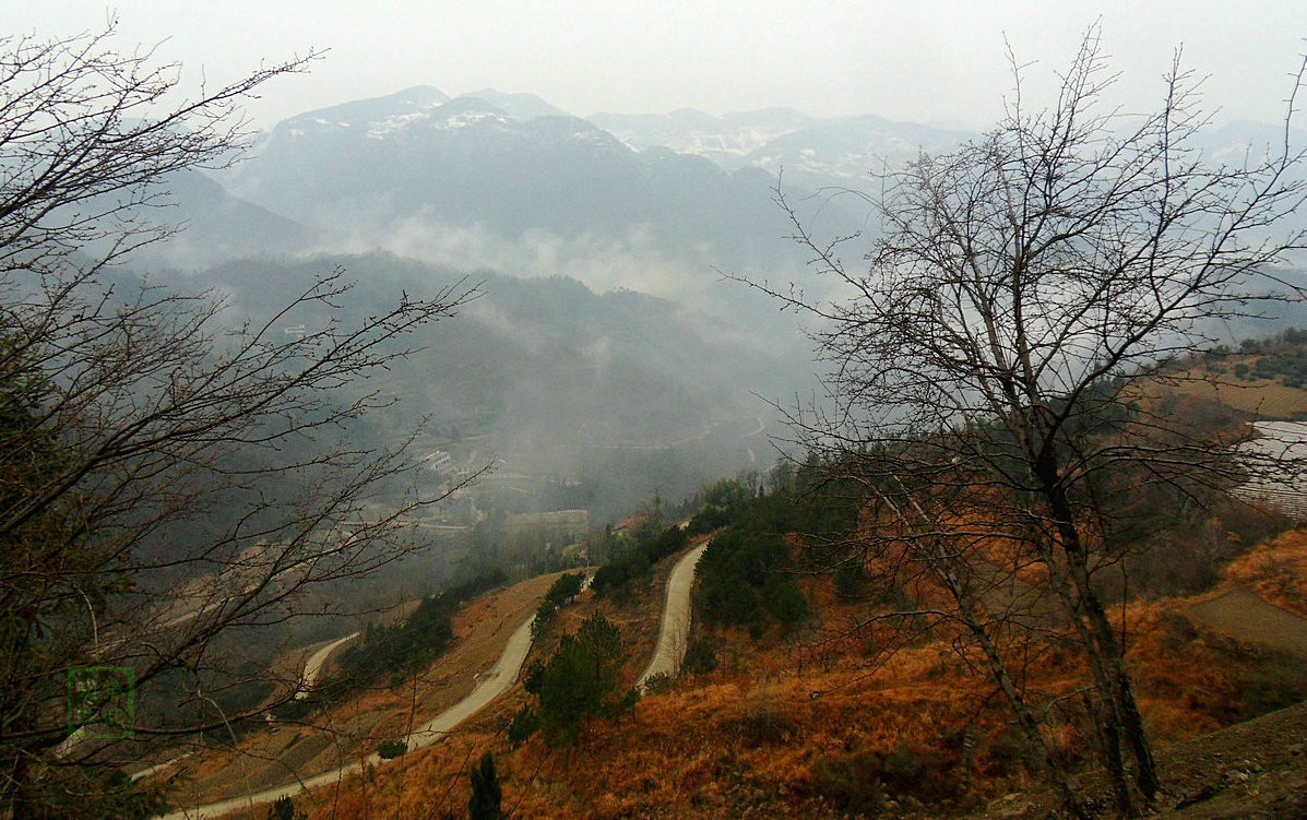 SDC11374_副本.JPG