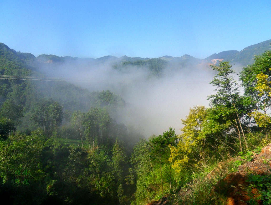 SDC15110_副本.JPG
