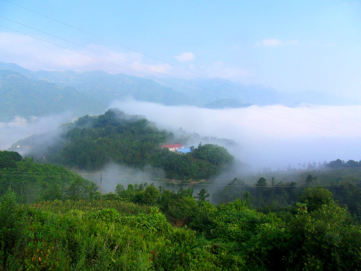 SDC15357_副本.JPG