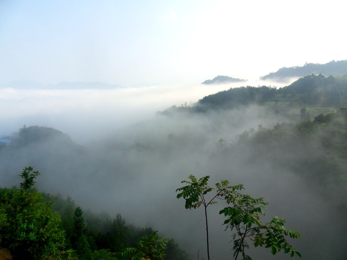 SDC15372_副本.JPG