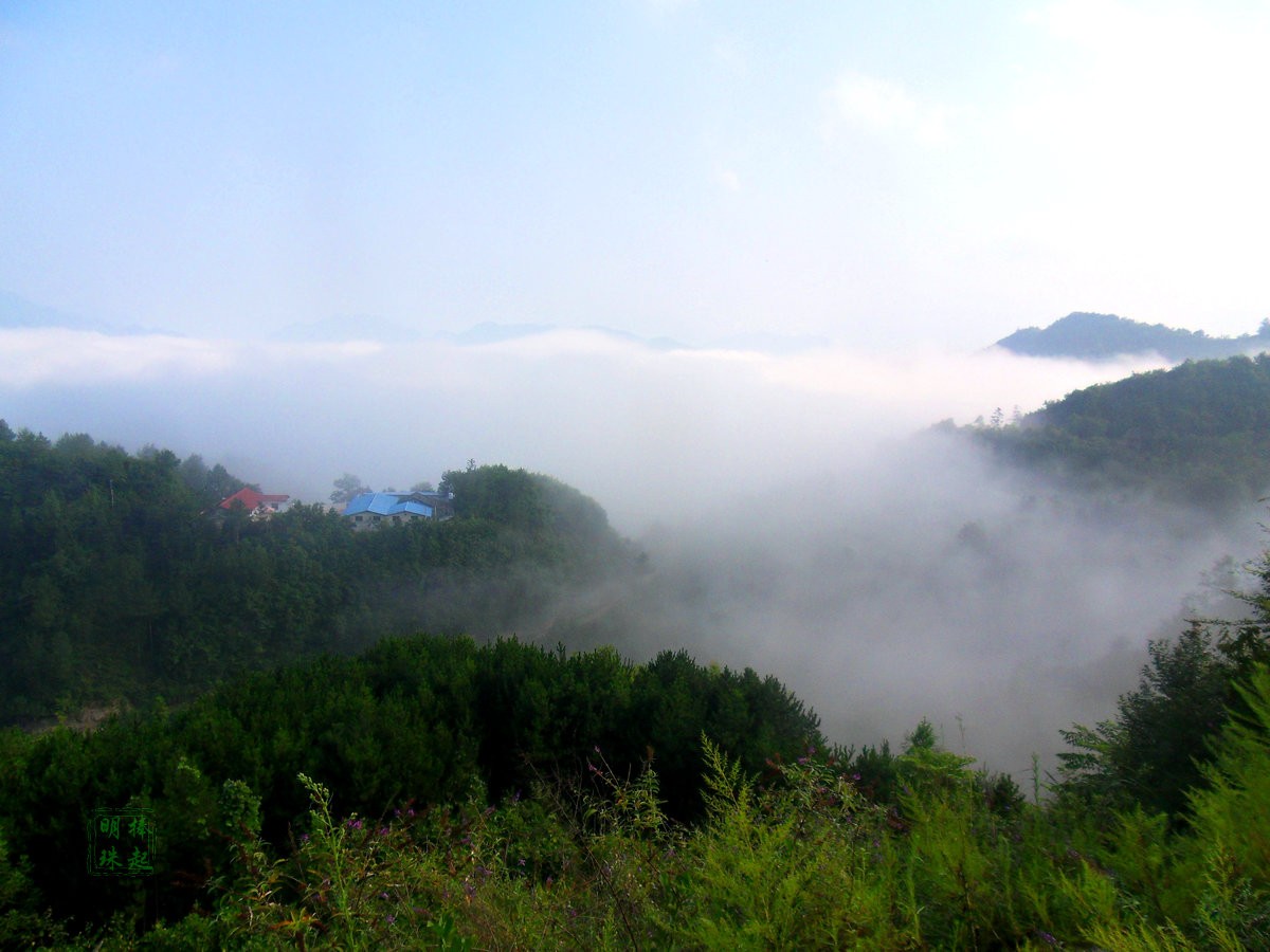 SDC15361_副本.JPG