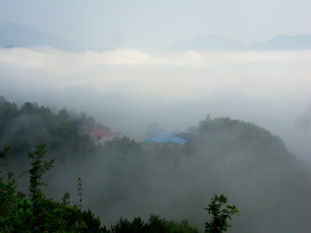 SDC15371_副本.JPG