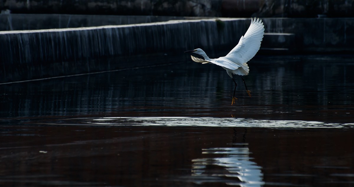 nEO_IMG_DSC_2279A.jpg