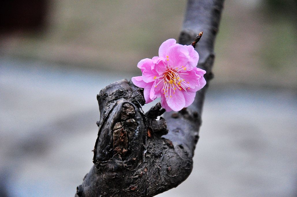 DSC_0845.jpg