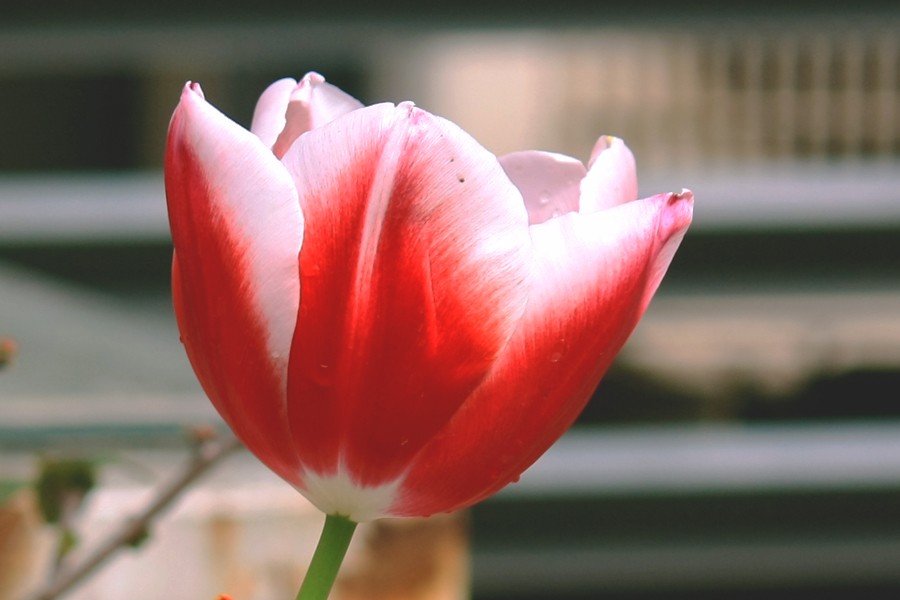 G_0092.jpg