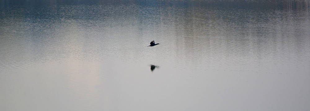 DSC_7526.JPG