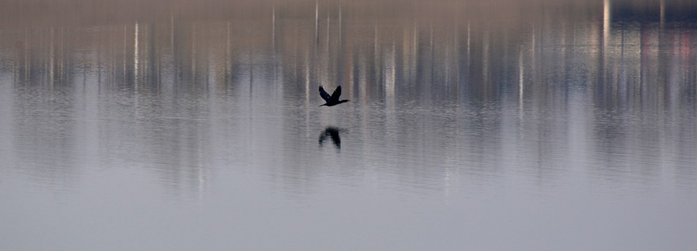 DSC_7542.JPG