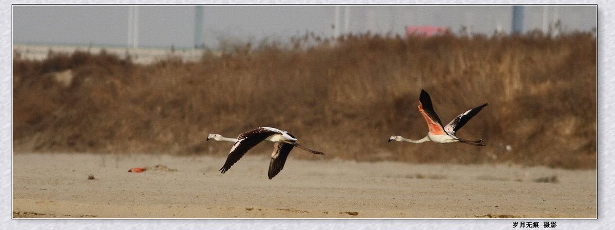 QQ图片20150228105413.jpg