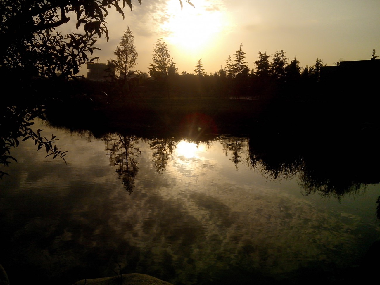 IMG20141004038.jpg