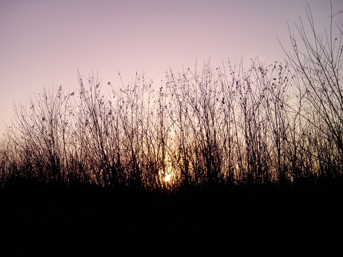 IMG20141216026.jpg