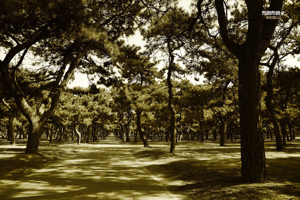 _DSC9276.jpg