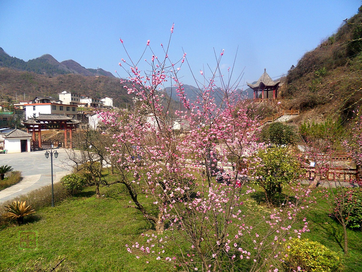 SDC12972_副本1.JPG