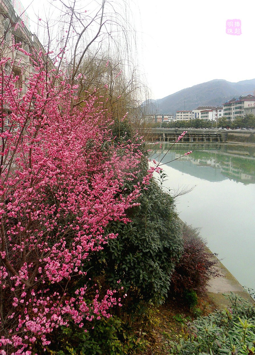 SDC12543.JPG