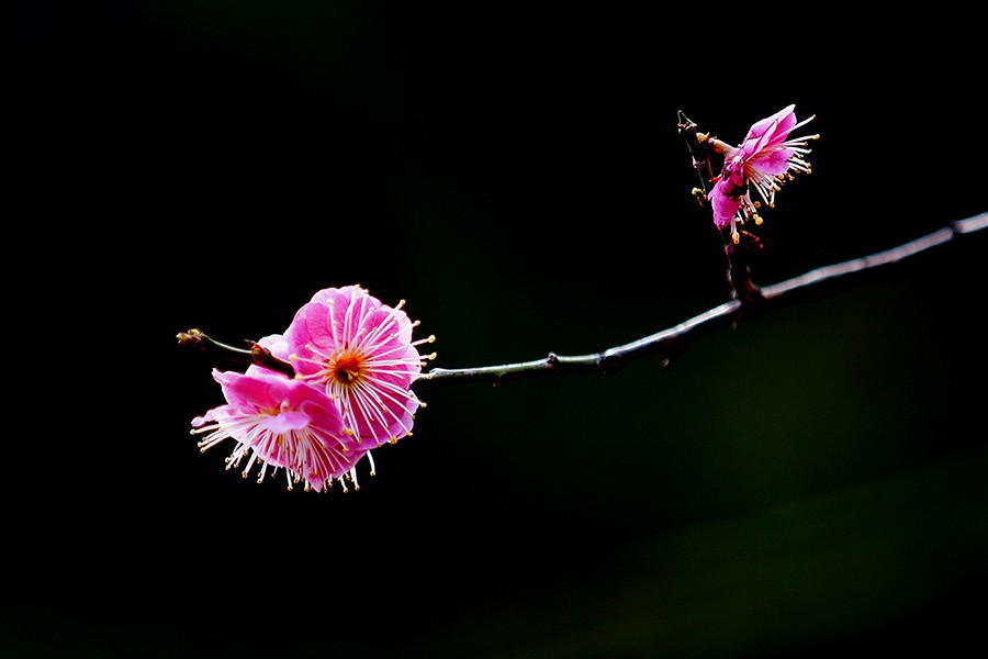 DSC00007_副本压.jpg