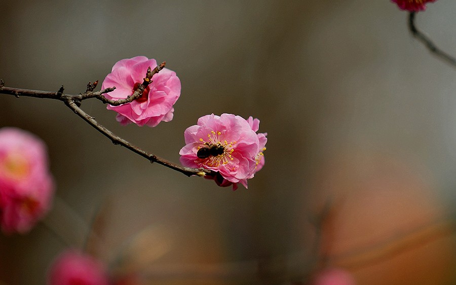 DSC00030_副本压.jpg