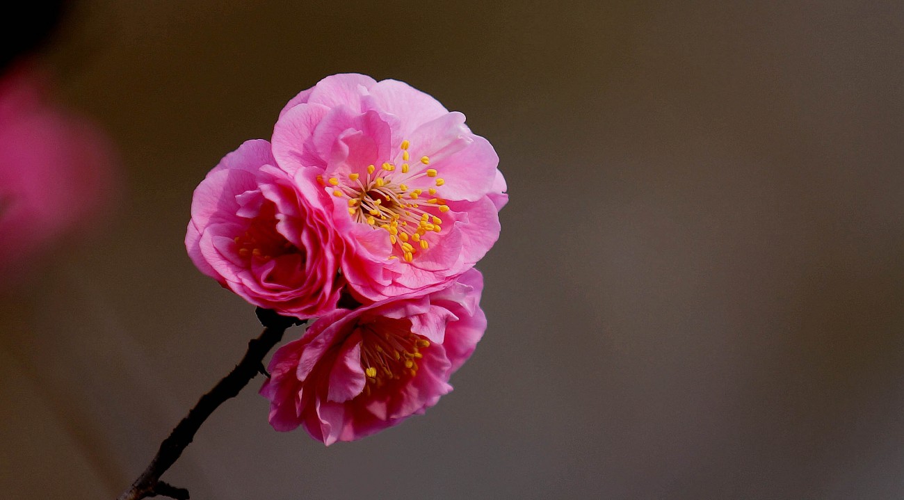 DSC00042_副本压.jpg