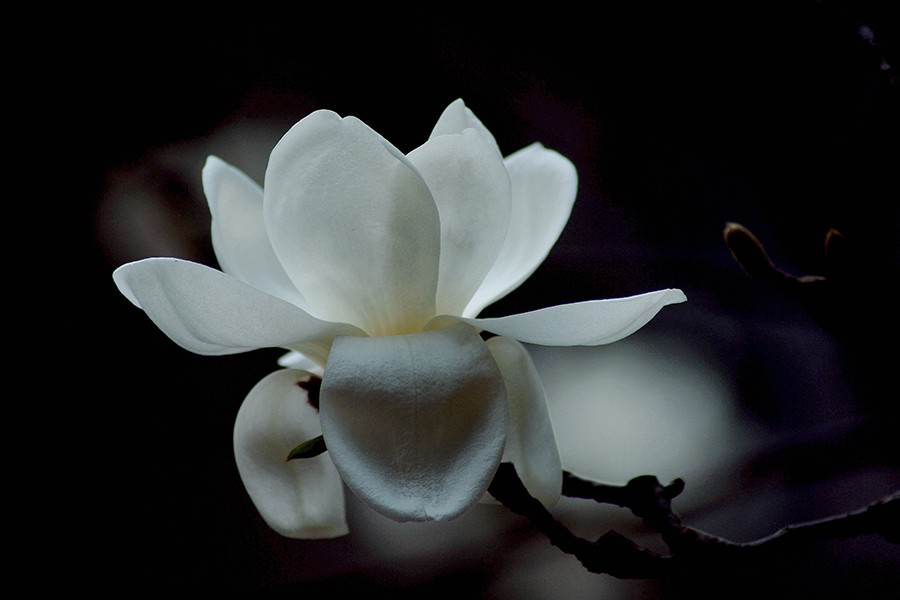 DSC02916_副本压.jpg