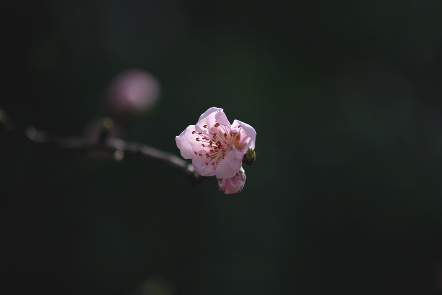 _0172.jpg