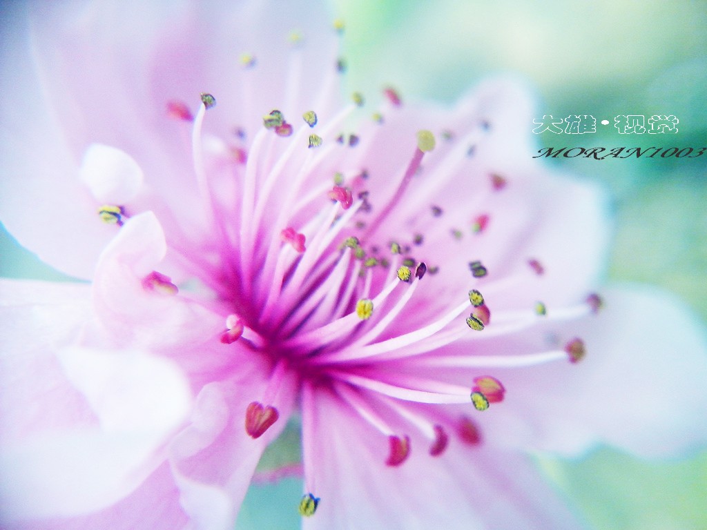 CYMERA_20150321_152850.jpg