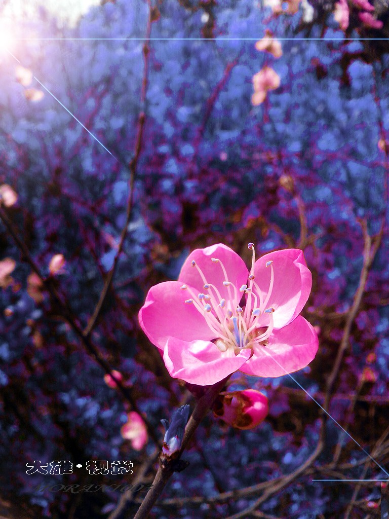 CYMERA_20150321_1404131.jpg