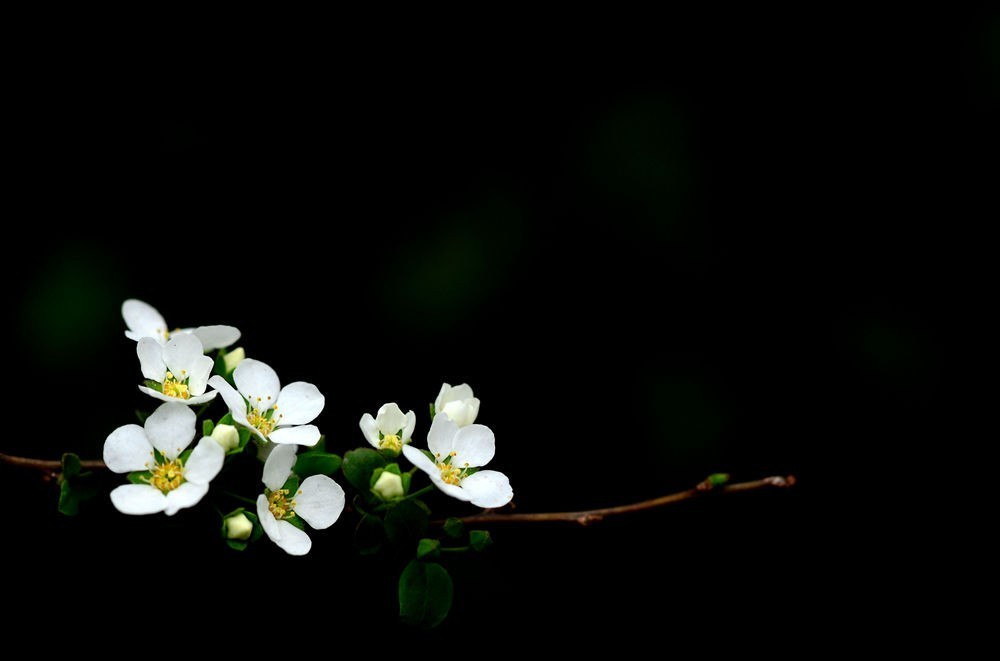 120102bf2933vi6eu349aa.jpg