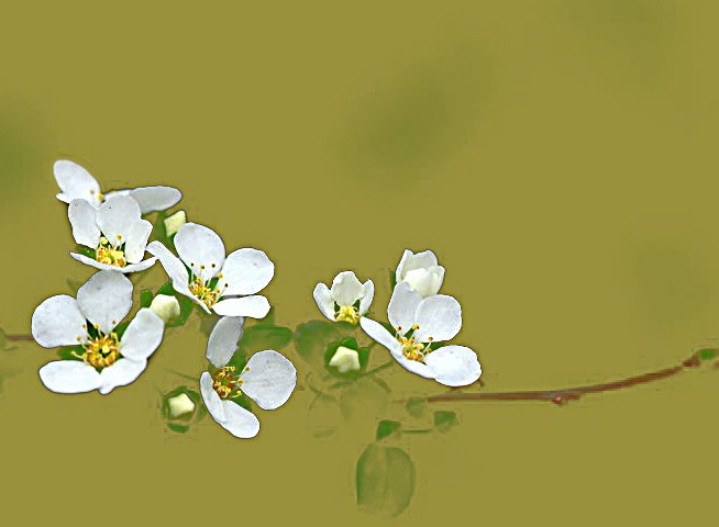 120102bf2933vi6eu349aa0.jpg